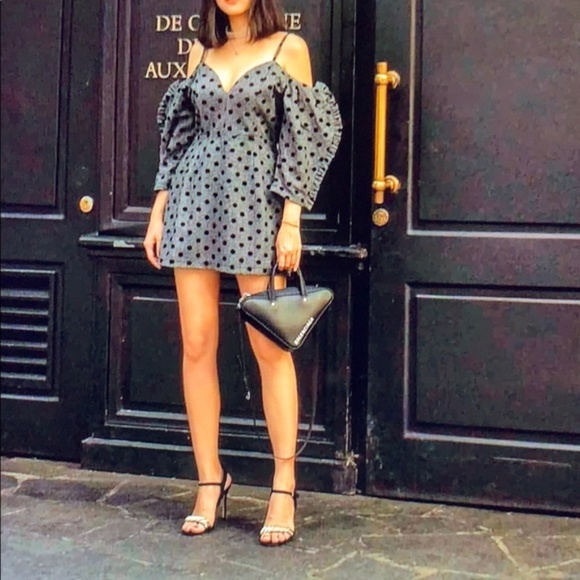 Delphine The Label Hear Me Howl Polka Dot Dress Size 2 - Picture 4 of 11